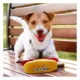 Product Pets First Washington Capitals Plush Hot Dog Dog Toy