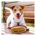 Pets First Washington Commanders Plush Hot Dog Dog Toy image thumbnail 4
