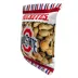 Pets First Ohio State  Buckeyes Plush Peanut Bag Dog Toy image thumbnail 2