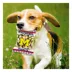 Pets First Michigan Wolverines Plush Peanut Bag Dog Toy image thumbnail 3