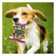 Product Pets First Florida Gators Plush Peanut Bag Dog Toy