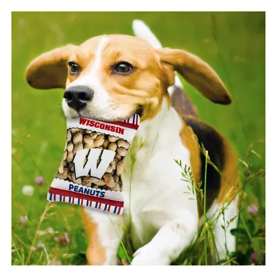 Product Pets First Wisconsin Badgers Plush Peanut Bag Dog Toy