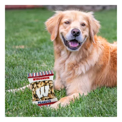Product Pets First Wisconsin Badgers Plush Peanut Bag Dog Toy