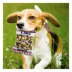 Pets First LSU Tigers Plush Peanut Bag Dog Toy image thumbnail 3