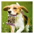 Pets First New Orleans Saints Plush Peanut Bag Dog Toy image thumbnail 3