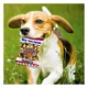 Product Pets First New York Knicks Plush Peanut Bag Dog Toy