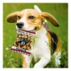 Product Pets First Brooklyn Nets Plush Peanut Bag Dog Toy