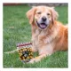 Product Pets First Brooklyn Nets Plush Peanut Bag Dog Toy