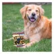 Product Pets First St. Louis Blues Plush Peanut Bag Dog Toy