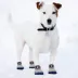 Pets First Houston Astros Pet Socks image thumbnail 3