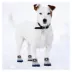 Pets First Houston Astros Pet Socks image thumbnail 4