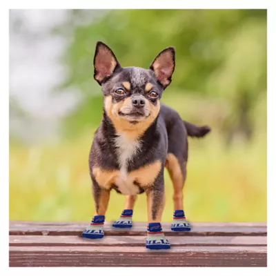 Product Pets First Buffalo Bills Pet Socks