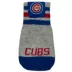 Pets First Chicago Cubs Pet Socks image thumbnail 1