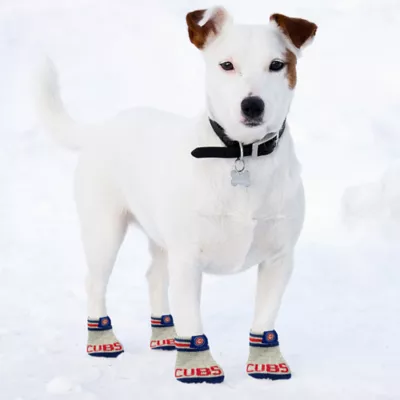 Product Pets First Chicago Cubs Pet Socks