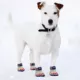 Product Pets First Chicago Cubs Pet Socks