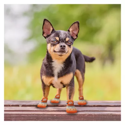 Pets First Clemson Pet Socks - Image 4