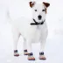 Pets First Chicago Cubs Pet Socks image thumbnail 4