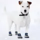 Product Pets First LA Dodgers Pet Socks