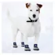 Product Pets First LA Dodgers Pet Socks