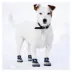 Pets First LA Dodgers Pet Socks image thumbnail 4