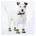 Pets First San Diego Padres Pet Socks image thumbnail 4
