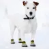 Pets First San Diego Padres Pet Socks image thumbnail 3