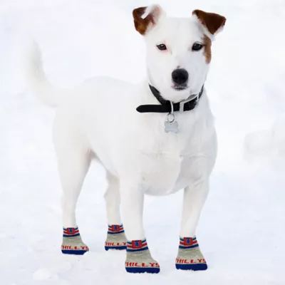 Product Pets First Philadelphia Phillies Pet Socks