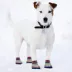 Pets First Philadelphia Phillies Pet Socks image thumbnail 3
