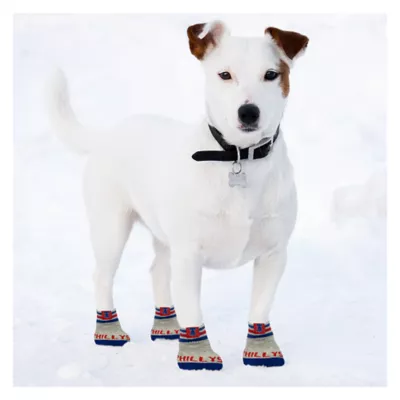 Product Pets First Philadelphia Phillies Pet Socks