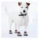 Product Pets First Philadelphia Phillies Pet Socks