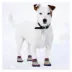 Pets First Philadelphia Phillies Pet Socks image thumbnail 4