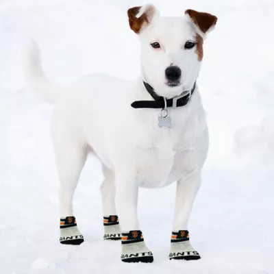 Product Pets First San Francisco Giants Pet Socks