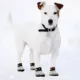 Product Pets First San Francisco Giants Pet Socks