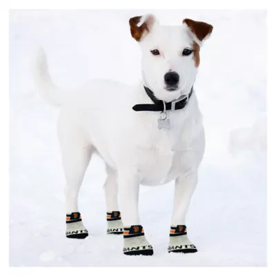 Product Pets First San Francisco Giants Pet Socks