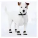 Product Pets First San Francisco Giants Pet Socks