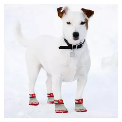 Product Pets First St. Louis Cardinals Pet Socks
