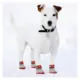 Product Pets First St. Louis Cardinals Pet Socks
