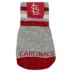 Pets First St. Louis Cardinals Pet Socks image thumbnail 1