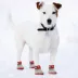Pets First St. Louis Cardinals Pet Socks image thumbnail 3