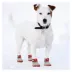 Pets First St. Louis Cardinals Pet Socks image thumbnail 4