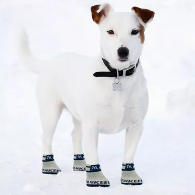 Product Pets First New York Yankees Pet Socks
