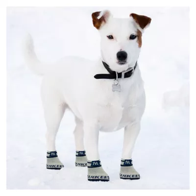Product Pets First New York Yankees Pet Socks