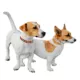 Product Pets First Texas Longhorns Reversible Dog Collar