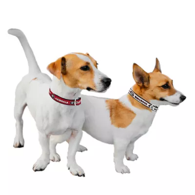 Product Pets First Georgia Bulldogs Reversible Dog Collar
