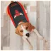Pets First Chicago Bulls Puffer Pet Vest image thumbnail 4