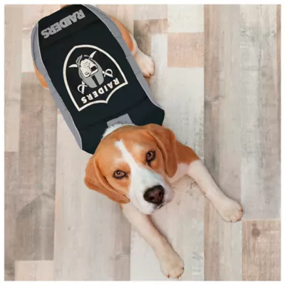 Product Pets First Las Vegas Raiders Puffer Pet Vest