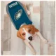 Product Pets First Philadelphia Eagles Puffer Pet Vest