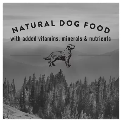 Product Nature's Recipe Grain Free Wet Dog Food - Chicken in Broth