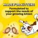 Product Temptations Kitten Treats - Chicken & Dairy Flavour