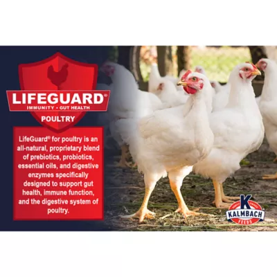 Kalmbach Feeds 22% Start to Finish Meatbird - Image 5